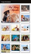 Календарь 2011. Год кота и кролика
